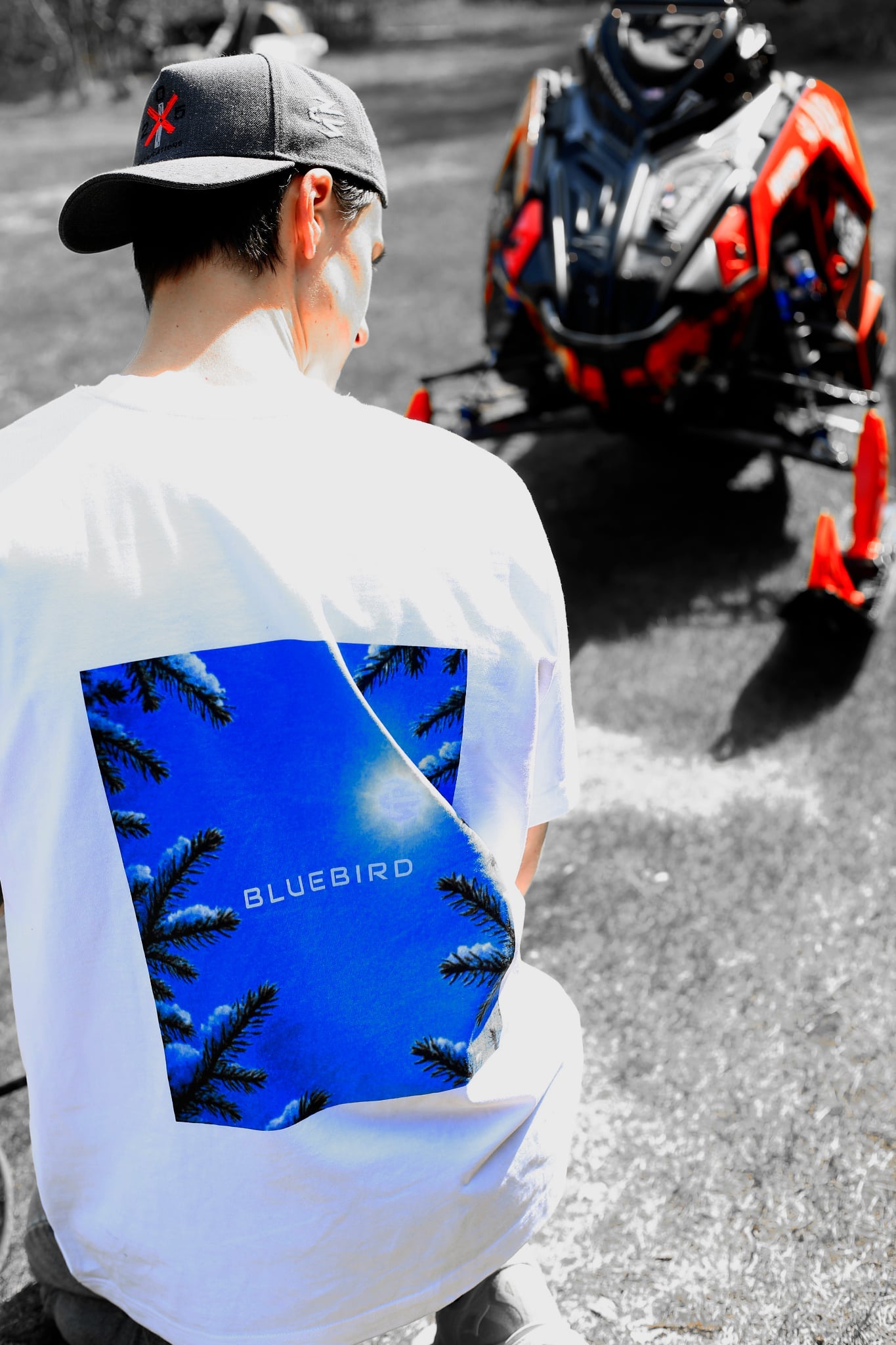 T-Shirt Bluebird "Oversize"
