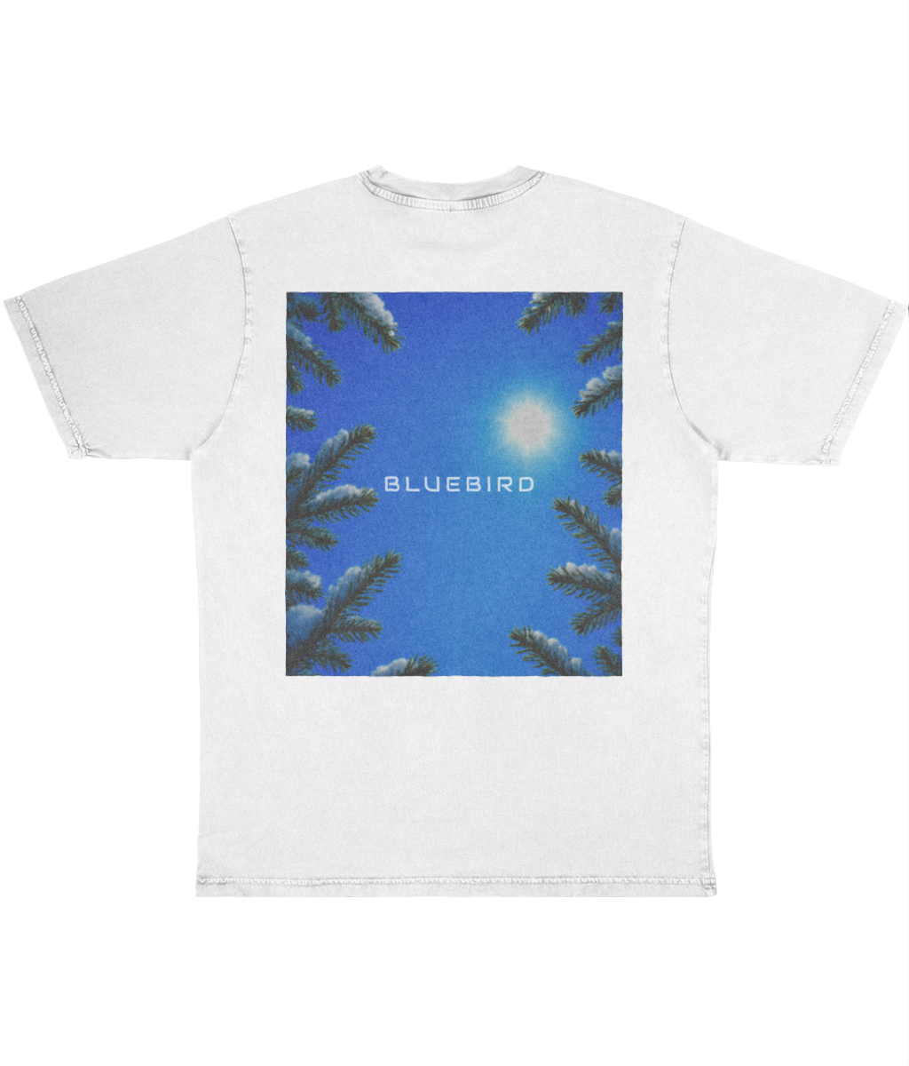Back Side