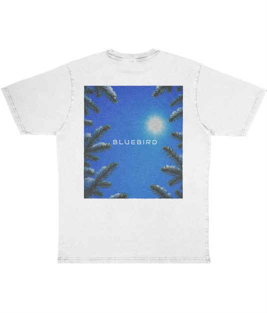 Back Side